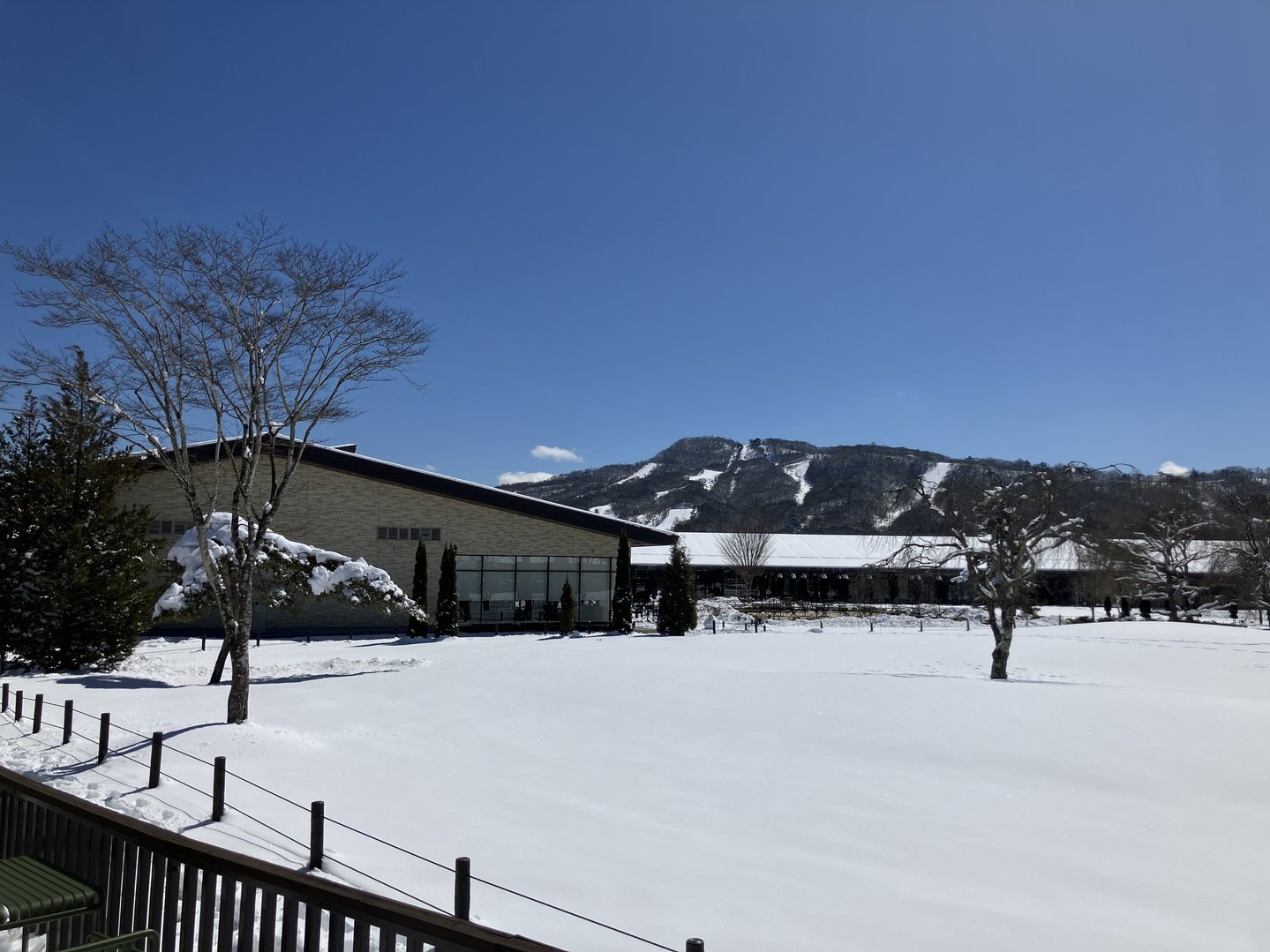 雪に覆われた軽井沢の庭と、青空に伸びるスキーコース（2025年3月）